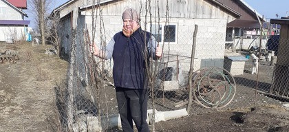 Perenbomen in Roemenië